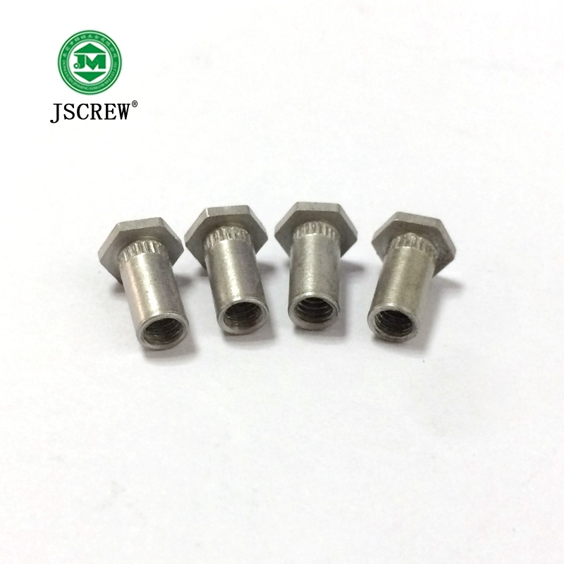 Customized Different Types Hex Head Rivet Nuts