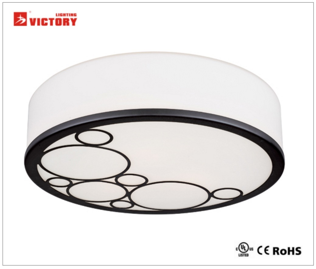 LED Modern Indoor Lighting Ceiling Light with Ce