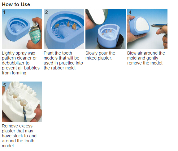 Cheap Durable Dental Plaster Model Mold for Dentist