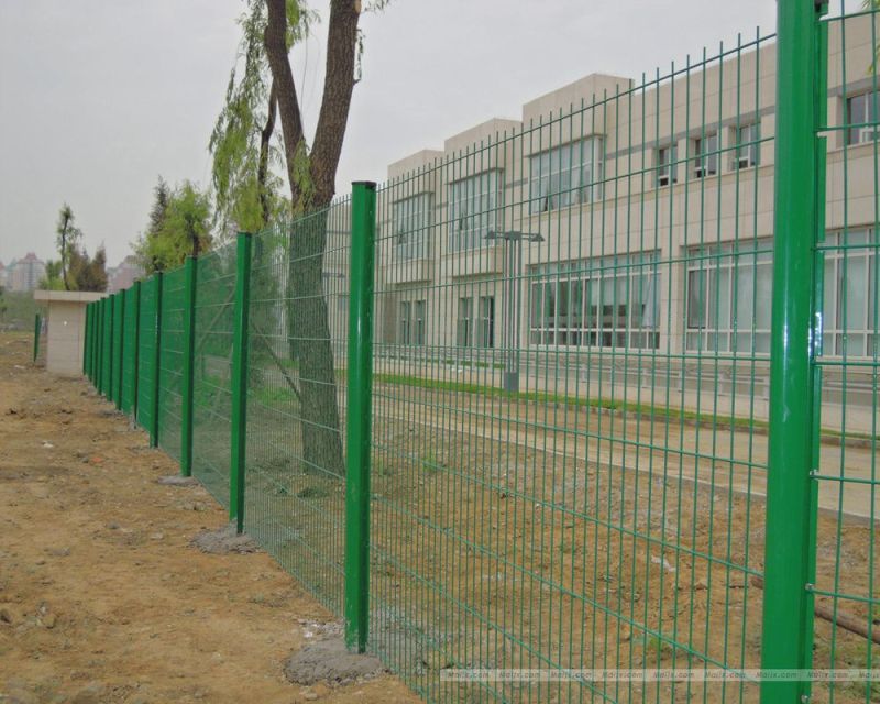 PVC Coated Powder Coated Galvanized Metal Wire Mesh Fencing