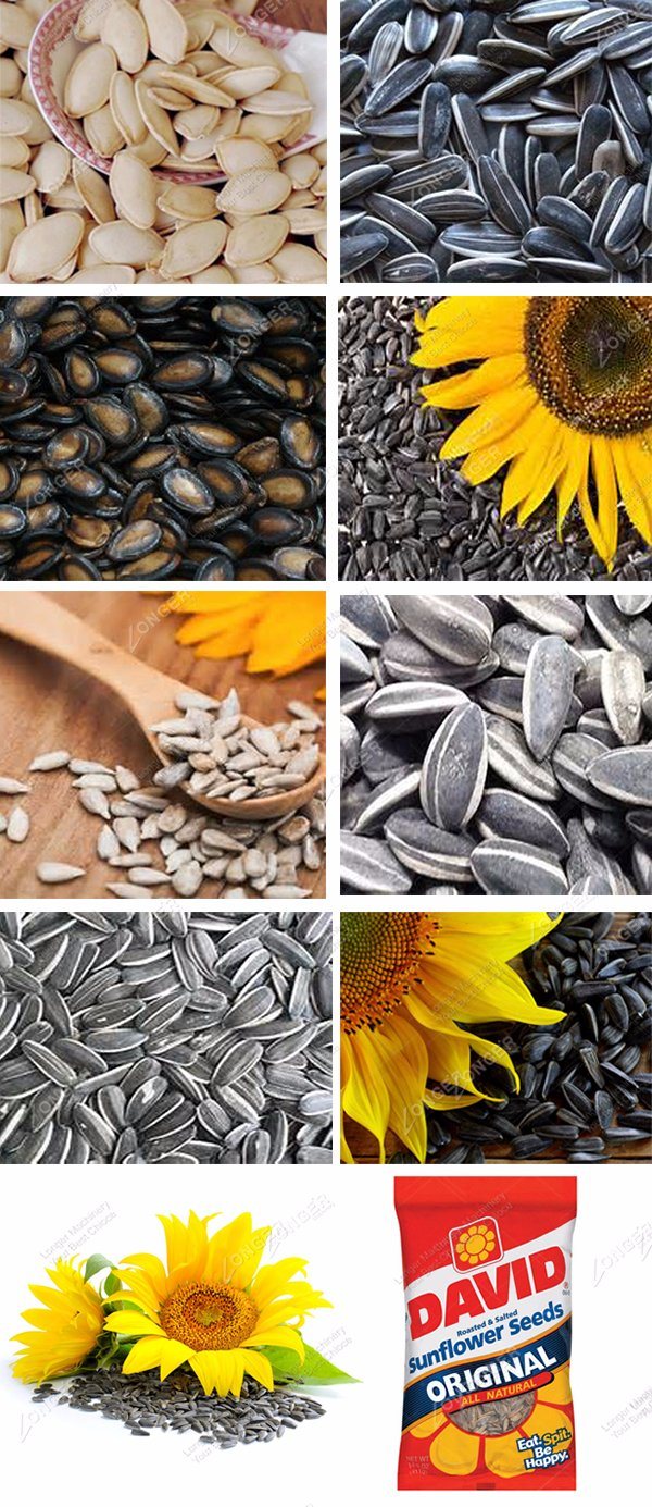 Fully Automatic Roasting Machines Sunflower Seeds