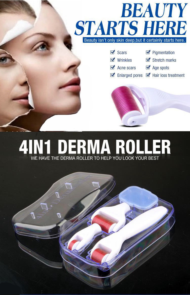 Home Use Multifunction 4 in 1 Derma Roller Price with Ce RoHS