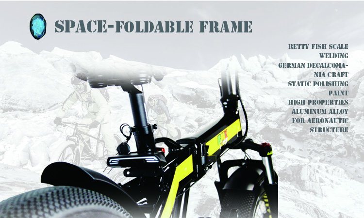 Fantas 36V250W Fat Tyre Snow E-Bike with Ce