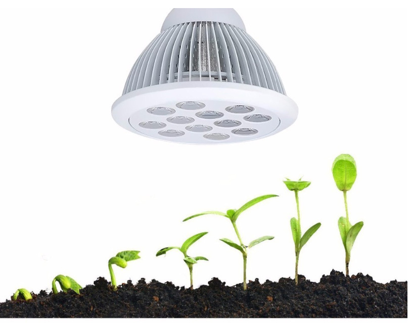 Shenzhen Manufacturer Professional for 12W LED Grow Light