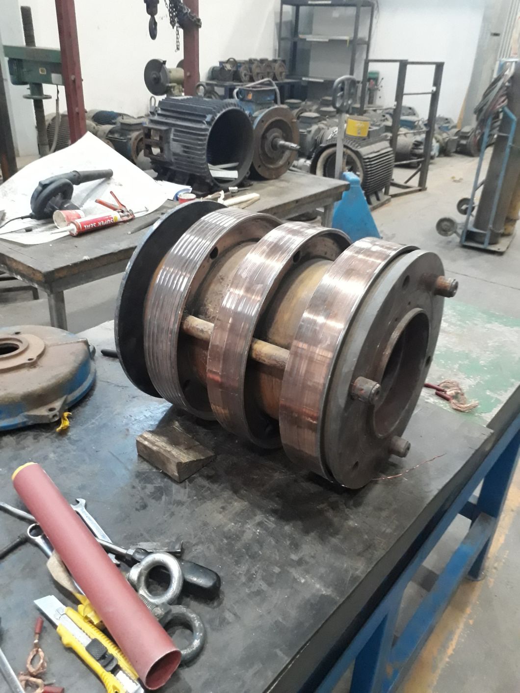 Shanghai Electric Slip Ring for 2000kw AC Motor