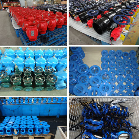 Wafer/Lug/Swing/Grooved End Type Butterfly Valve/Check Valve