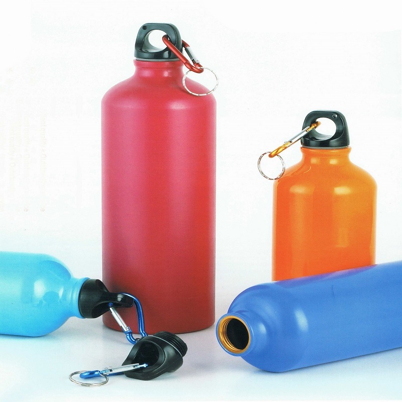 Classic Style Sports Aluminum Bottle with Carabiner