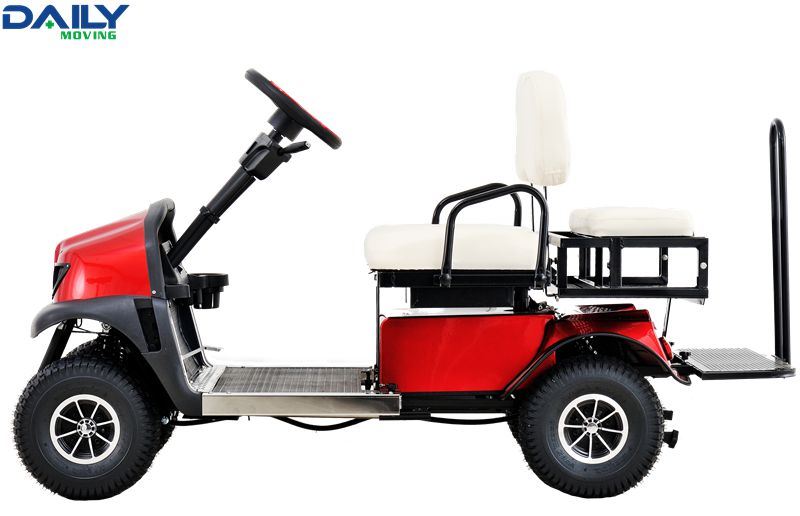 Ce Heavy Duty Stong Power Mini Golf Golf Cart for 2-4 People