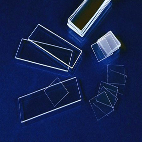 Prepared Glass Slides/Miro Slides/Microscope Slides/Slides/Cover Glass