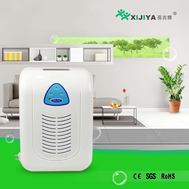 Wall Mounted Anion Ozonizer Air Purifier for Hotel and Home Use