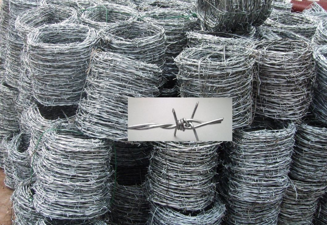 Galvanized Barbed Wire/PVC Coated Barbed Wire/Barb Wire