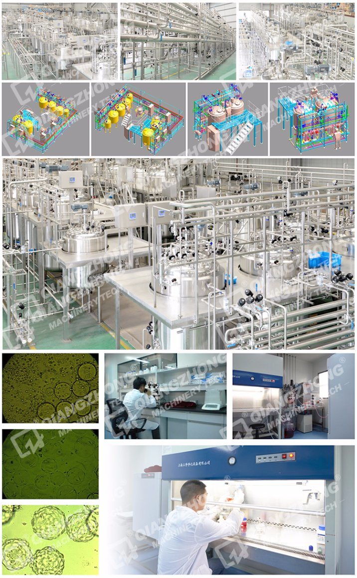 Fluidized Bed Bioreactor for Hepatocytes Cell Culture