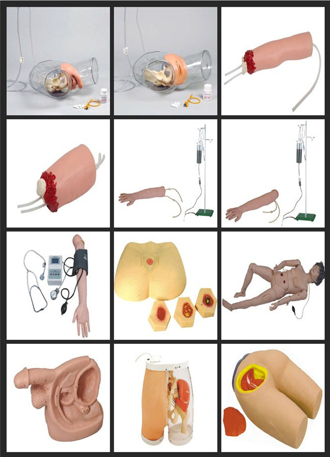 Mct-Kn-014 015 Transparent Male Catheterization Model