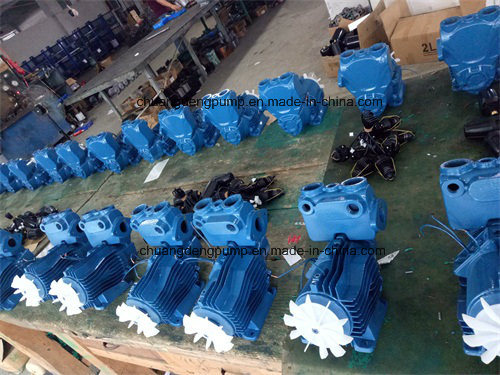 Reliable Wzb Series 230W Mini Self-Priming Water Pump