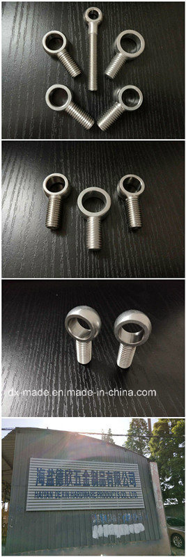 High Quality Stainless Steel Eye Bolts