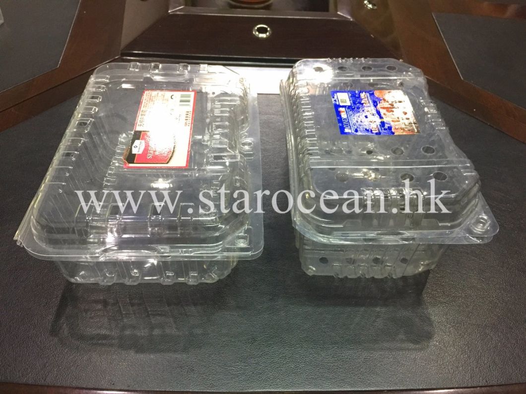 Pet Clamshell Packaging Plastic Tray