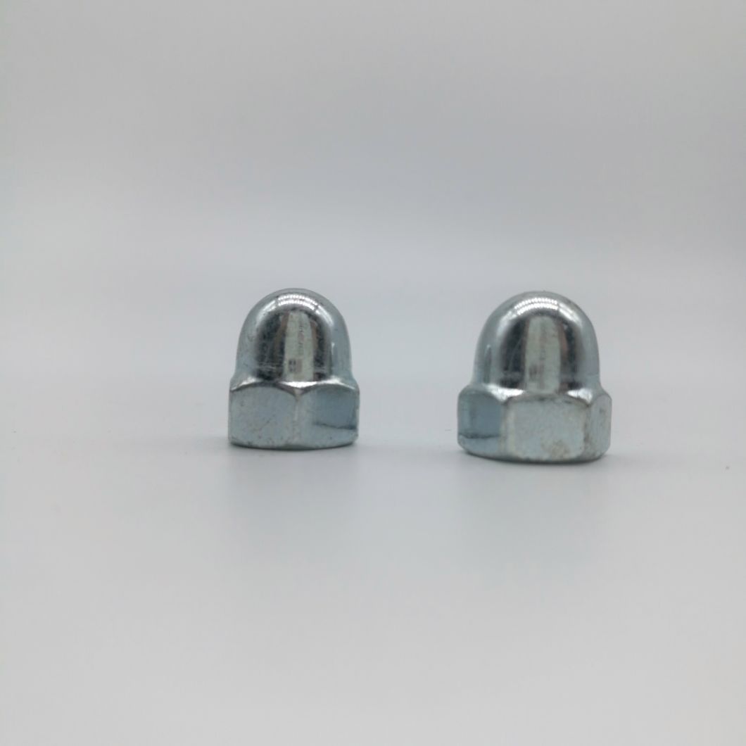 Stainless Steel Hex Head Cap Nut/Round Head Nut