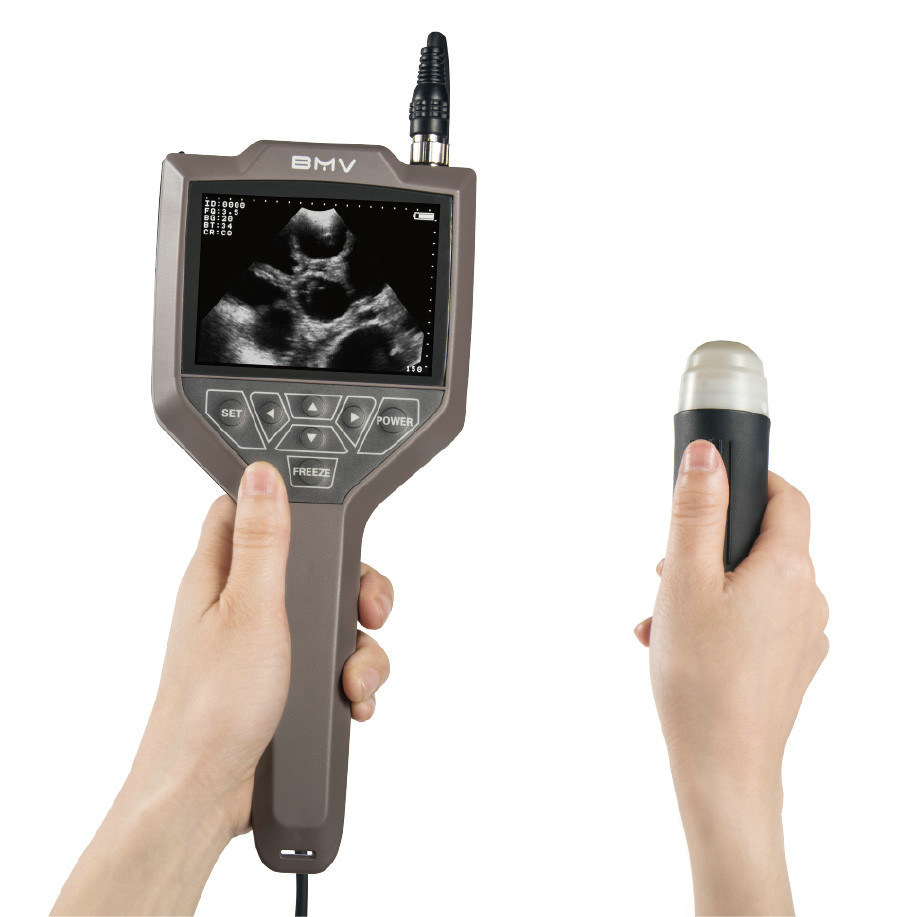 Farmscan M30 Ideal Pig Farm Pregnancy Detector Veterinary Diagnostic Ultrasound