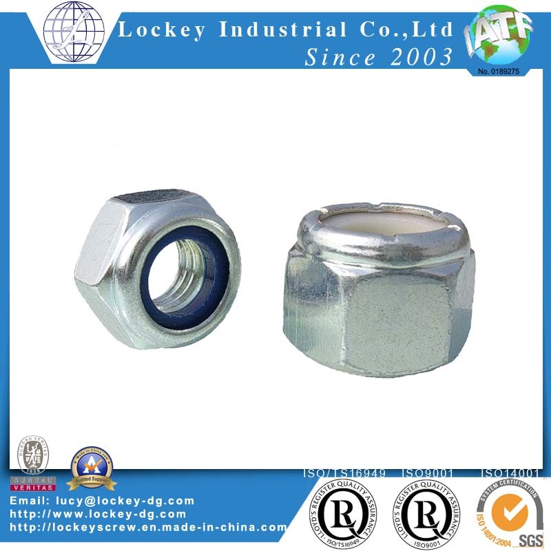 Stainless Steel 304 Self-Locking Nut Nylon Nut