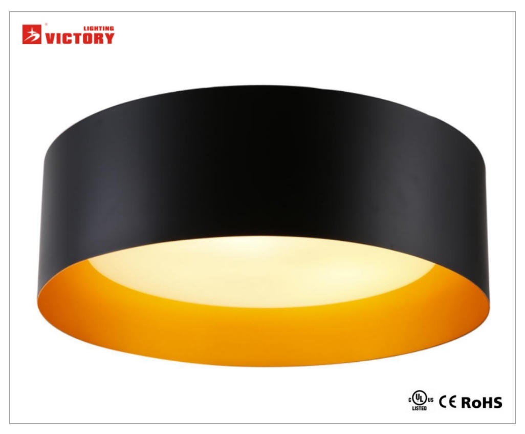 LED Surface Round Modern Style Ceiling Light for Indoor Living