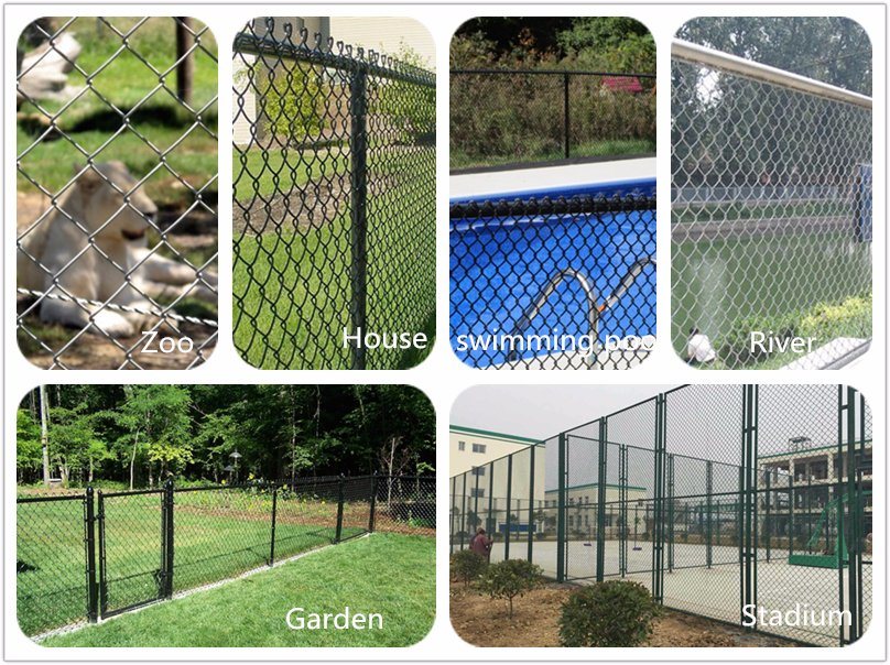 Reliable China Wholesale Metal Steel Wire Mesh Fence (WWMF)