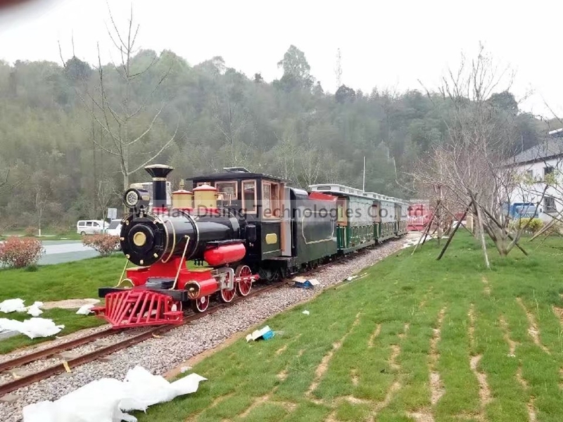 Theme Park Customized Tourist Mini Track Train 120 Seats Powered by Diesel