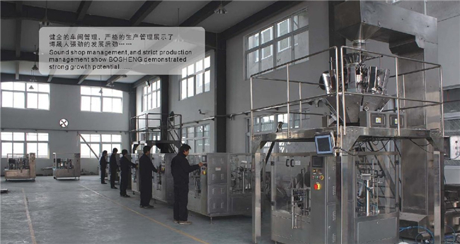 Hot Sale Ce Approved Automatic Food Rotary Packaging Machine