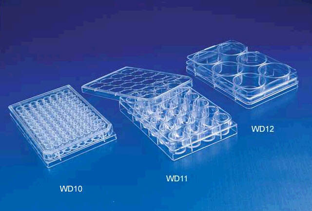 Multi Well Plate 6-48wells