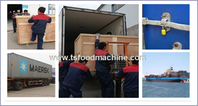 Commerical Industrial Seafood Dryer and Meat Drying Machine