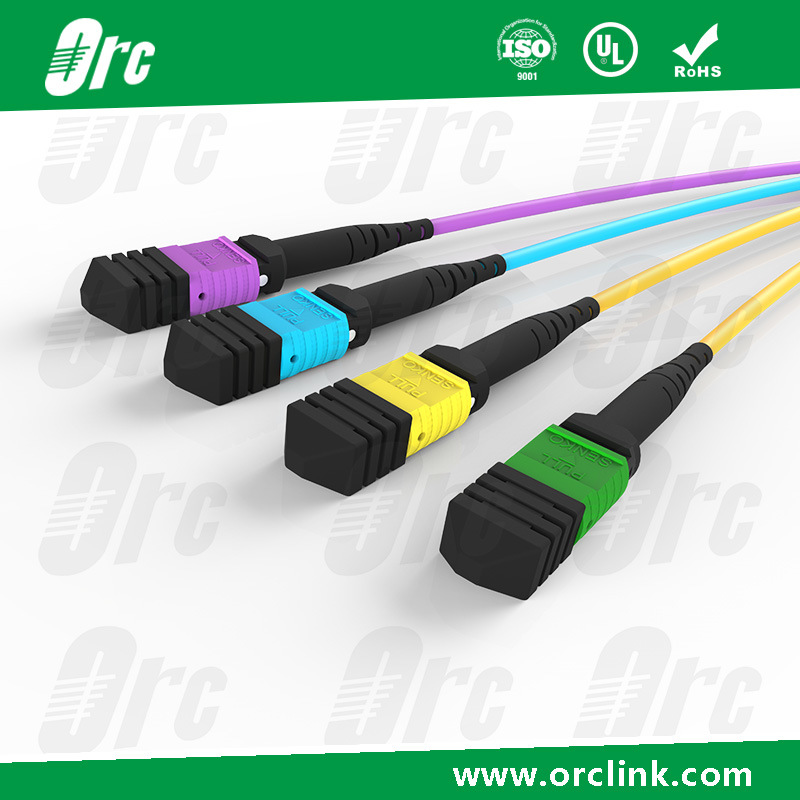 8f/12f/24f MTP/MPO Patchcord Jumper Optical Fiber Connector Sm/Om3/Om4 PVC/LSZH/Ofnp