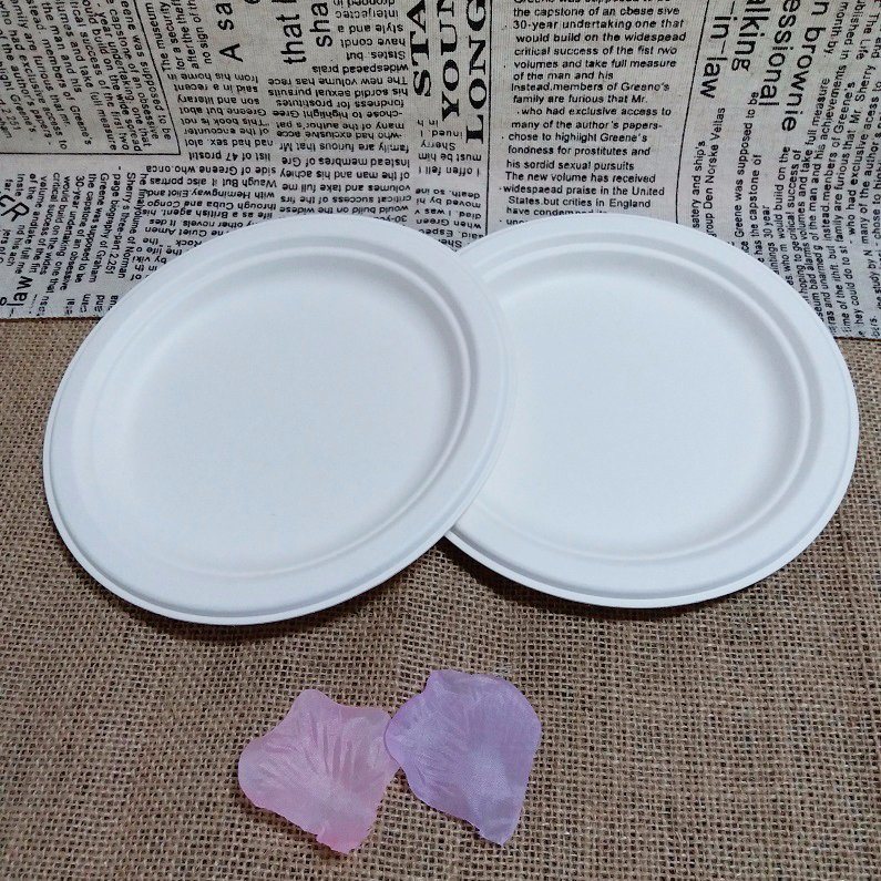 Eco-Friendly Camping Biodegradable Dinnerware Bagasse Plate