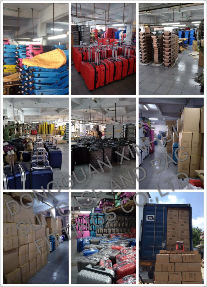 Hot Sale Aluminum Trolley Handle Luggage (XHP096)