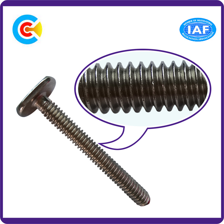 Stainless Steel Flat Tail T Head Fastener Screw for Bathroom