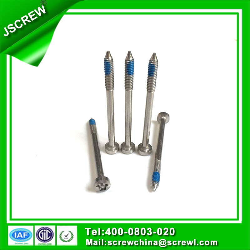 Hot Sale Product Self Tapping Screw Ss304 Anti-Theft Screw