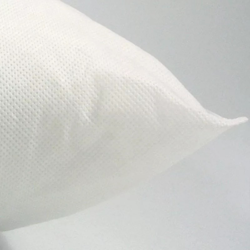 China Supply Nonwoven Pillow for Amazon Decorative Cushion Cover