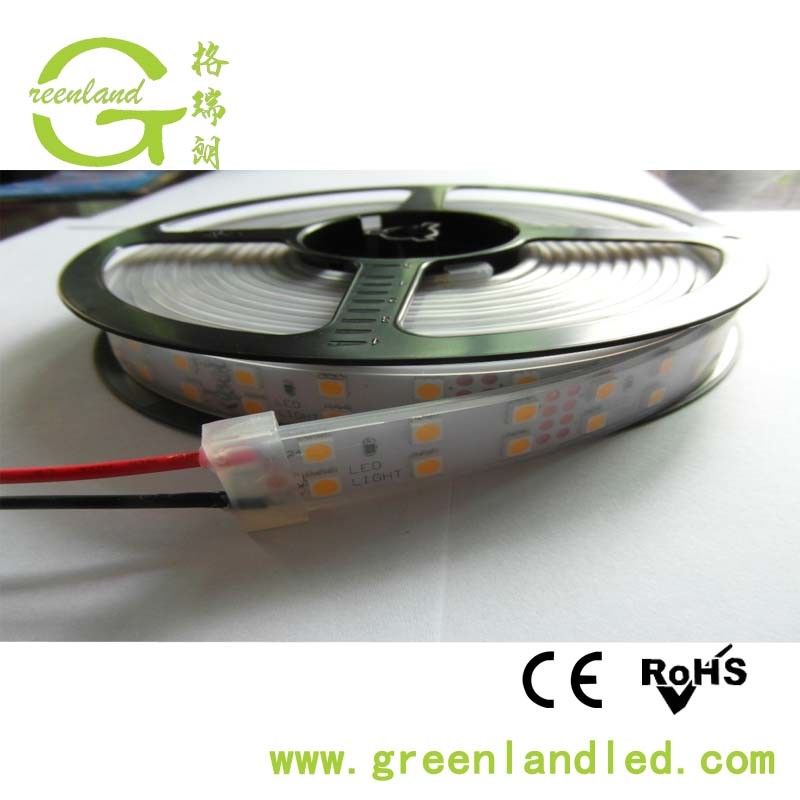 High Quality Low Voltage DC12/24V LED Flexible Strip Light