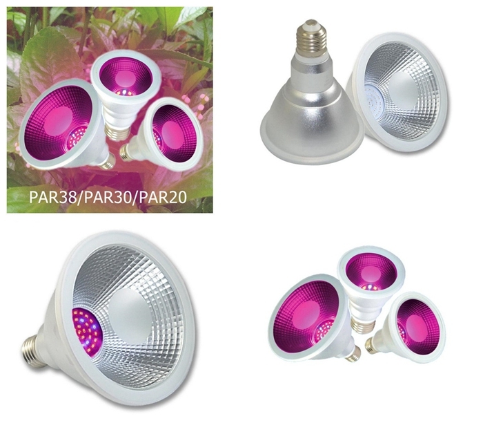 Red Light Blue Light PAR30 12W E26 LED Grow Light for Greenhouse Hydroponic Organic