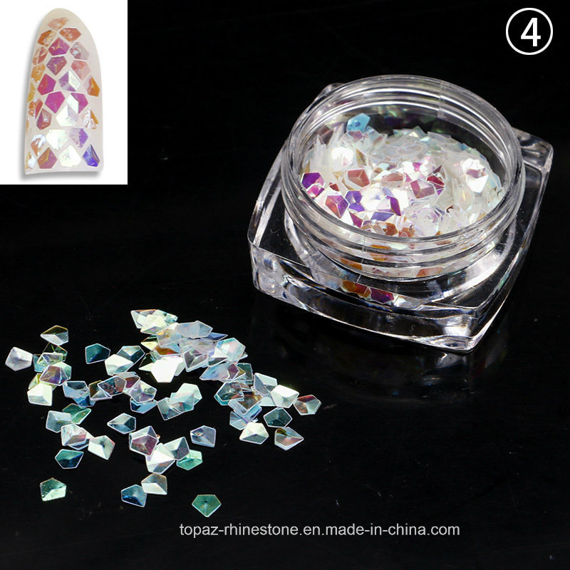 Professional Nails Art Tools Color Nails Decorations Nail Art Mirror Powder Paillette Nail Glitter (NR-05)