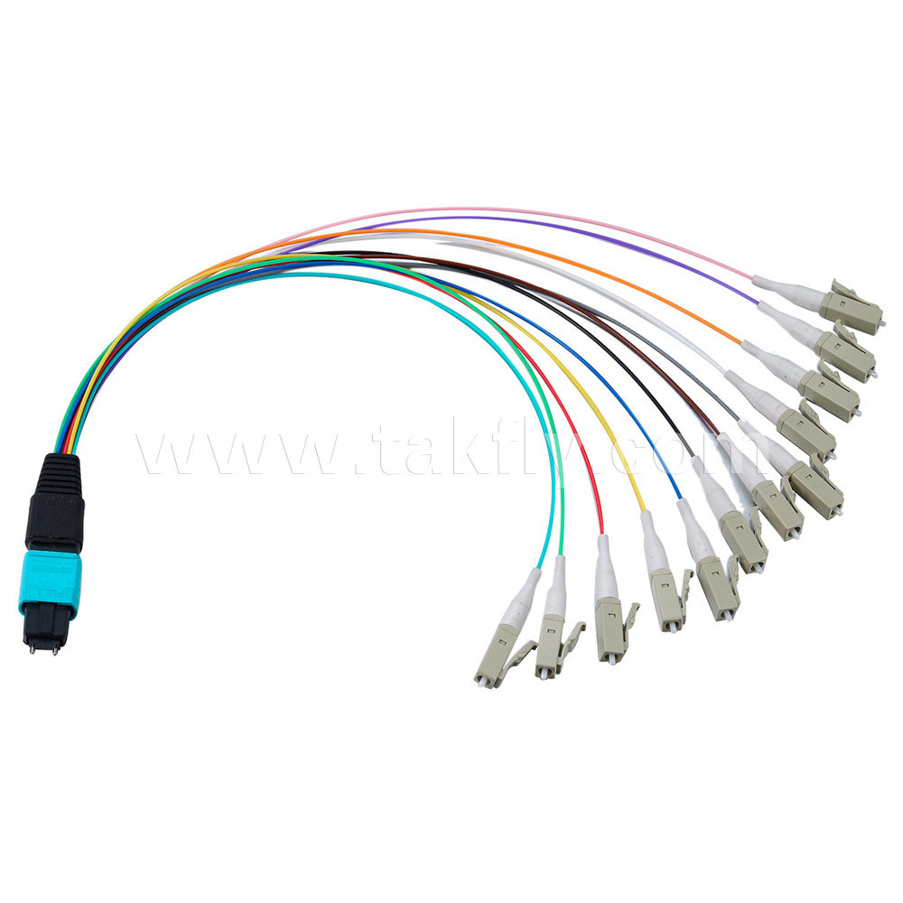 MPO/MTP 12 Fibers Hydra Cable Fiber Optic Patch Cord