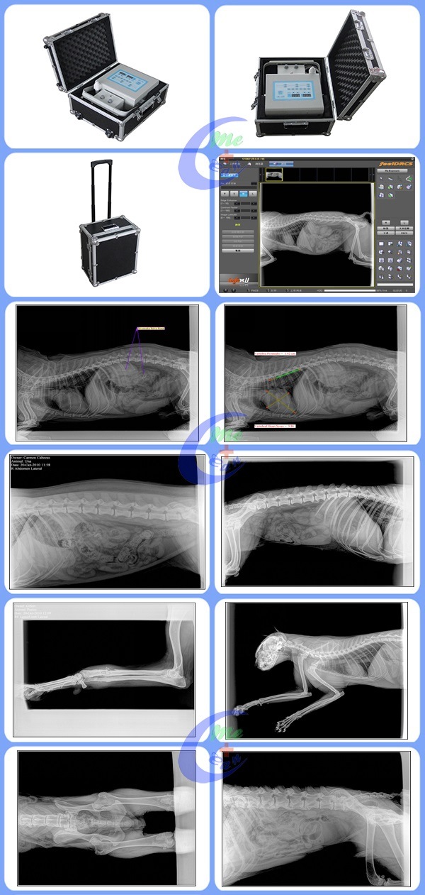 5kw Veterinary Digital Portable X-ray Machine