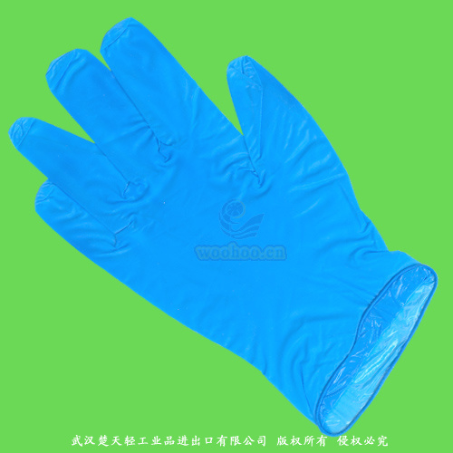 Disposable Examination Gloves