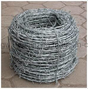 Grass Boundary Protecting PVC Coated/Glavanize Barbed Wire