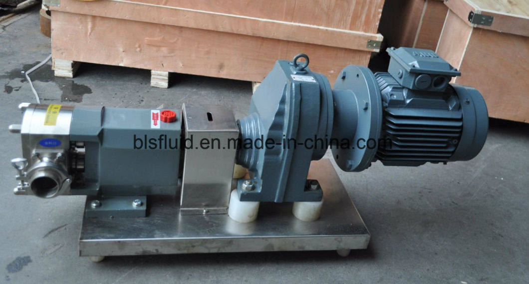 Bls High-Quality Stainless Steel Rotor Lobe Pump