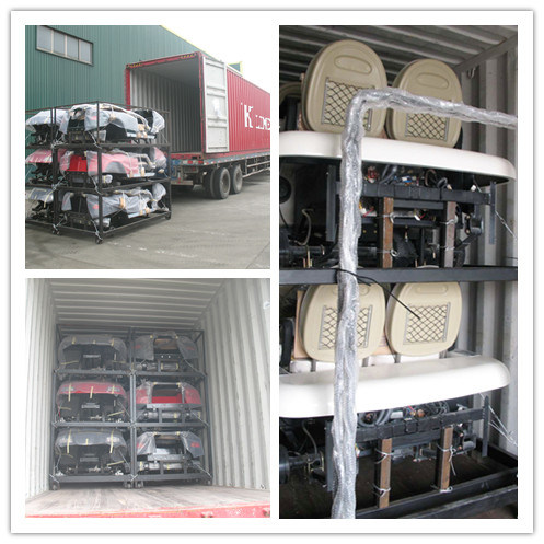Industial Electric Carts/Vans with Competitive Van Prices, Eg6030h