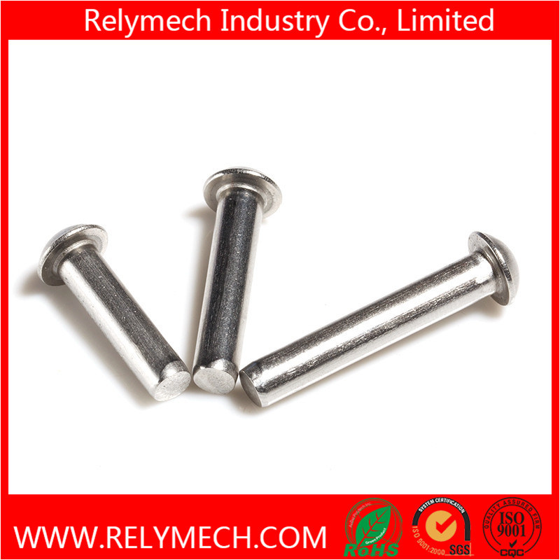 Mushroom Head Round Head Solid Rivet in Stainless Steel