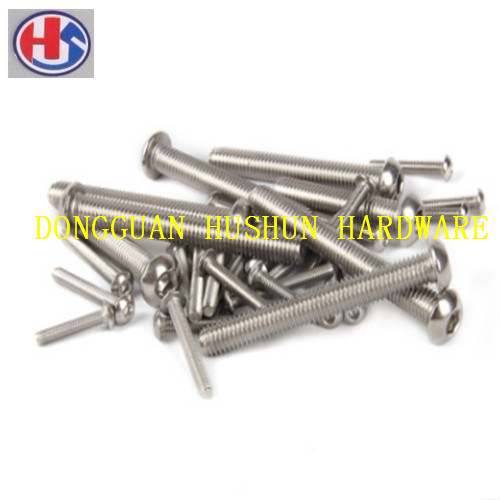 Ss 304 Inside Hexagonal Bolt with Screw Thread (HS-HB-02)