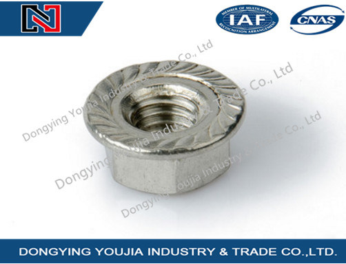 DIN6923 Stainless Steel Hexagon Nut with Flange