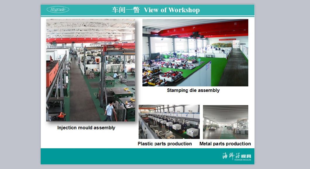 Home Appliance Injection Mould for Refrigerator Plastic Parts (A0317019)