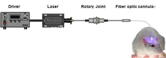 laser system for optogenetics laser system for optogenetics