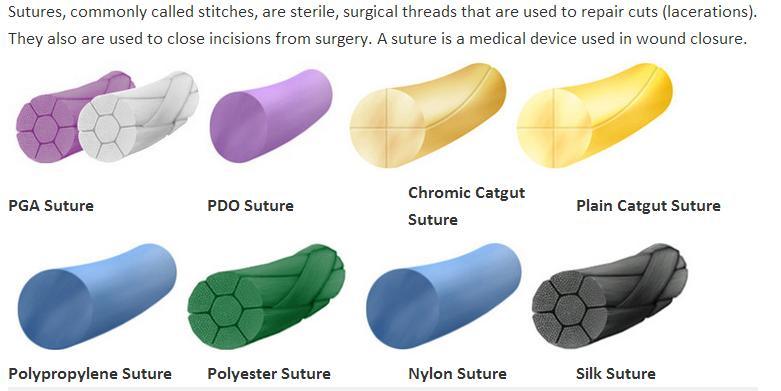 Steriled Polypropylene Monofilament Surgical Suture with Needle